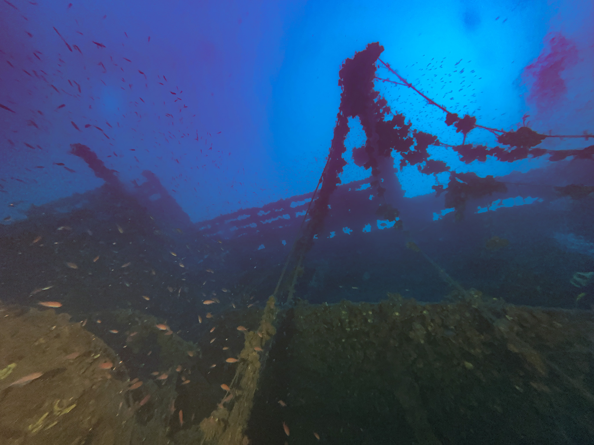 Relitto TIRPITZ